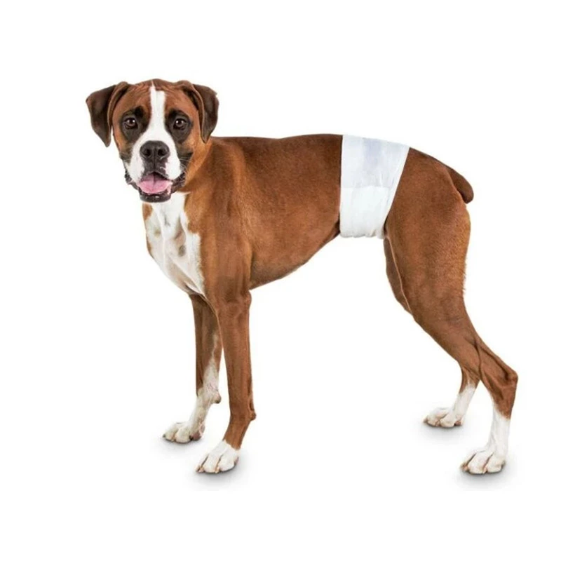 Absorbent inner layer in disposable dog diapers