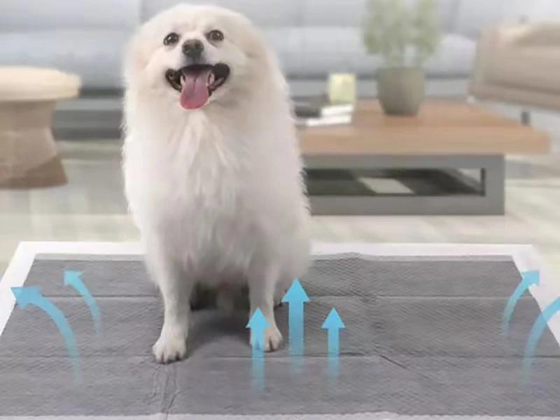 Pet training pad indoor use reference